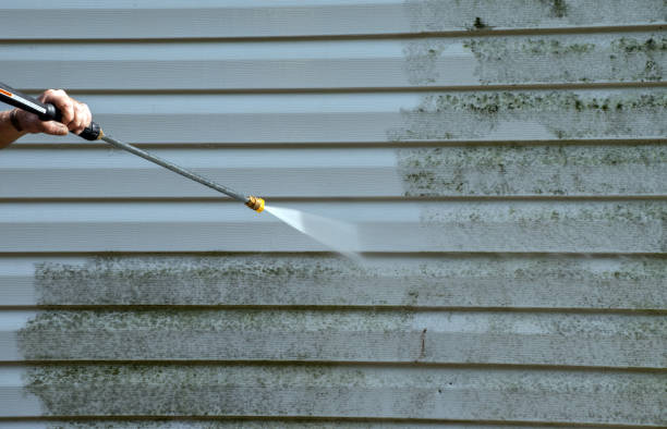 Best Sidewalk and Walkway Cleaning  in Italy, TX